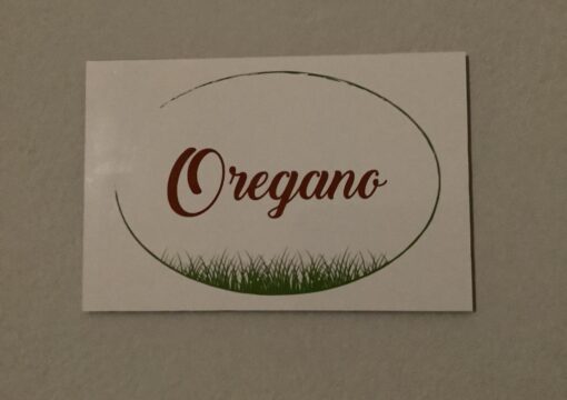 Oregano | Napier’s Residence