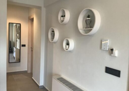 Oregano | Napier’s Residence