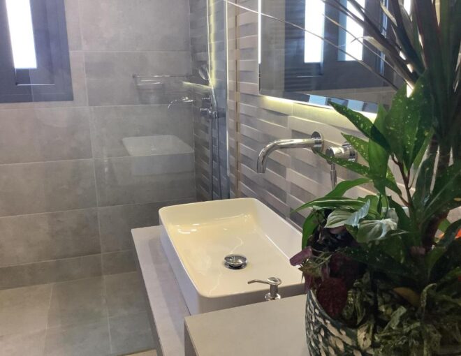 Oregano | Napier’s Residence