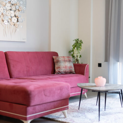 Thyme | Napier’s Residence