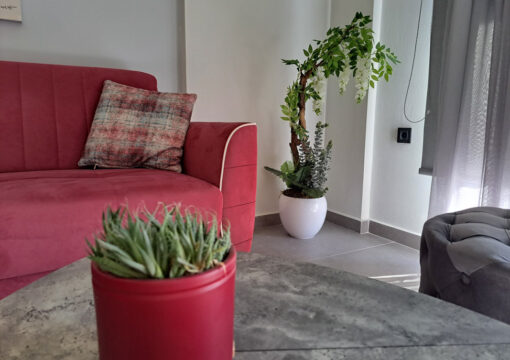 Thyme | Napier’s Residence