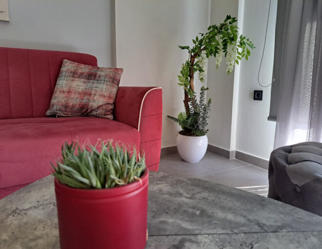 Thyme | Napier’s Residence